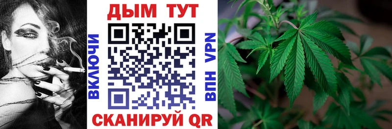 где купить   Отрадная  Бошки марихуана план 